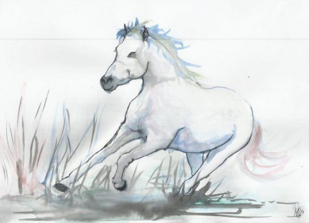 "caballo" acuarela