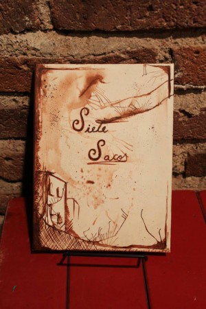 Portada del libro "Siete Sacos" 