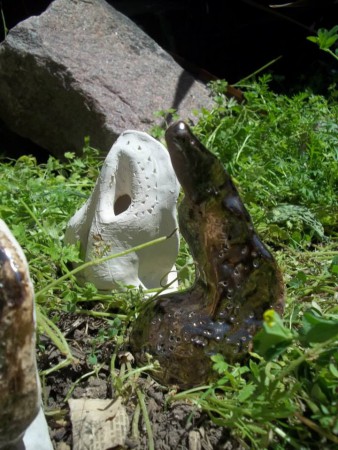 ceramica FBA de La Plata