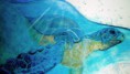 /album/fotogaleria/a1102620-207809686049767-512776723-o-jpg1/