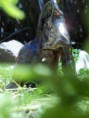 /album/fotogaleria/a1455125-238005656363503-484519011-n-jpg/
